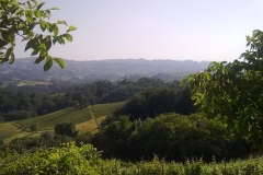 Ausflug zum Weingut Puschnig