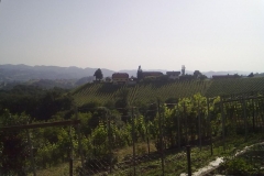 Ausflug zum Weingut Puschnig