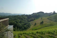 Ausflug zum Weingut Puschnig