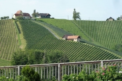 Ausflug zum Weingut Puschnig