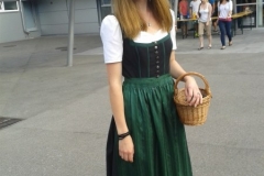 Bezirksmusikertreffen Krieglach 2015