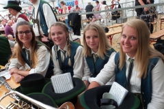 Bezirksmusikertreffen 2017