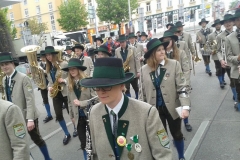 Maiaufmarsch 2015