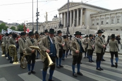 Maiaufmarsch 2015