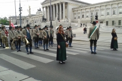Maiaufmarsch 2015