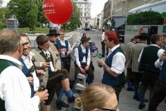 Maiaufmarsch 2015