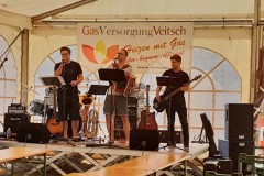 Musikantenkirtag_Dorffest (16)