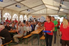 Musikantenkirtag_Dorffest (34)