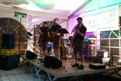 Musikantenkirtag_Dorffest (87)