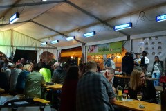 Musikantenkirtag_Dorffest (91)