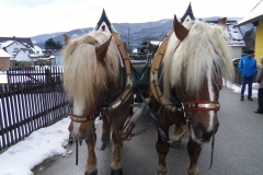 Osterweckruf 2015