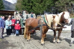 Osterweckruf 2015