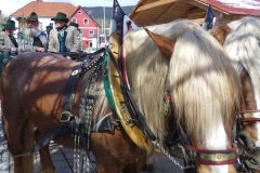 Osterweckruf 2015