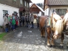 Osterweckruf 2015