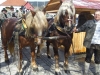 Osterweckruf 2015