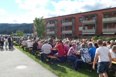 Sommerkonzert 2017